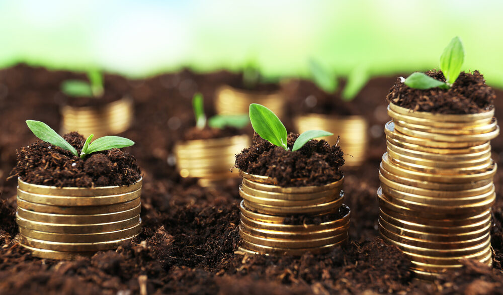 Invest your money in right place today [For Pakistanis]